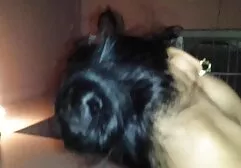 オフィスの婦人科医で剃毛されたL.cumsを持つ日本の女性 女 セックス 動画