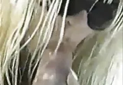 赤いストッキングに女の子を与える大blowjob セックス 動画 女性 用