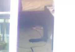 幅が待っているタップ セックス 無料 女